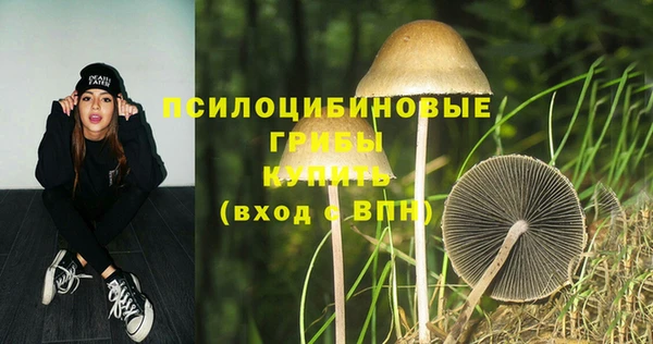 гидропоника Волоколамск