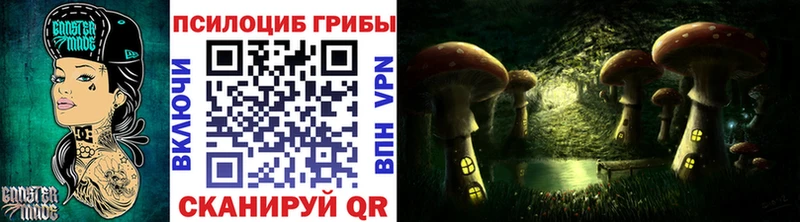 Галлюциногенные грибы мицелий Купить где Буйнакск